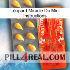 Léopard Miracle Du Miel Instructions new01